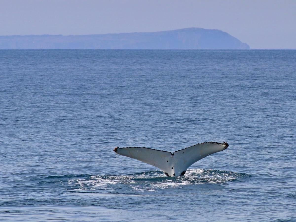 The Grampian Phillip Island Villa Cowes Bagian luar foto
